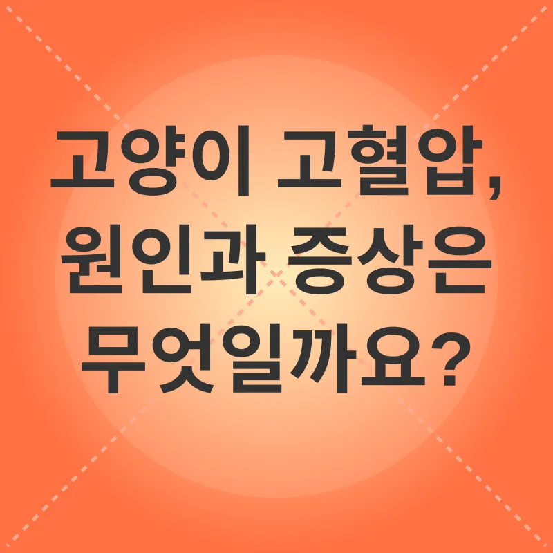 고양이 고혈압 관리_2