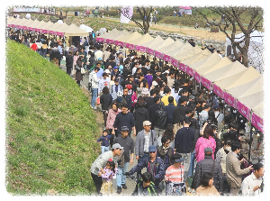 양재 아트 살롱