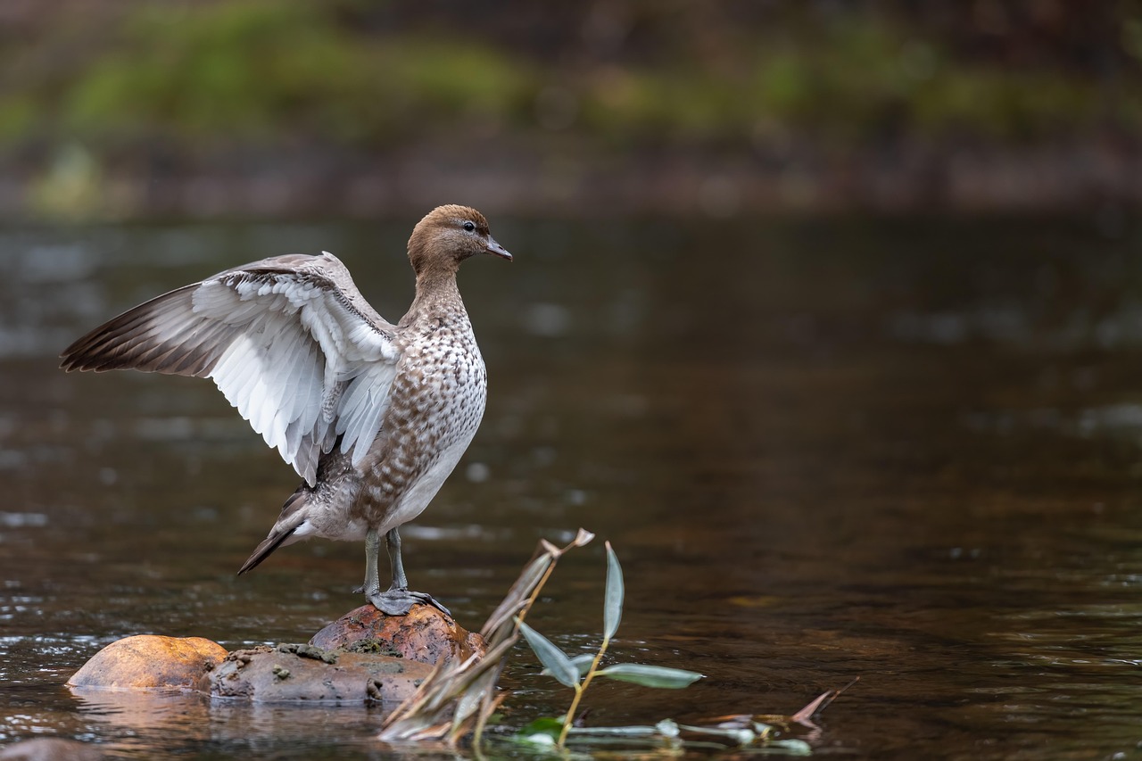 부동산 중개수수료