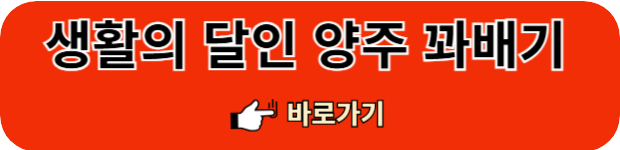 양주-꽈배기달인