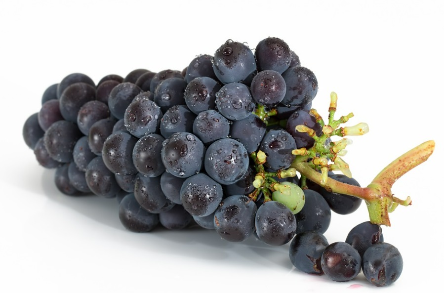 포도