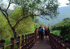 대전 가볼 만한 곳