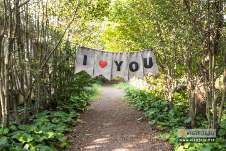 제주도 가볼만한곳 10곳