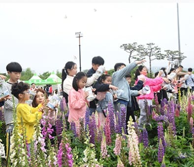 함평나비축제 입장료