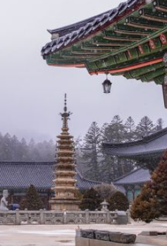 평창-가볼만한곳