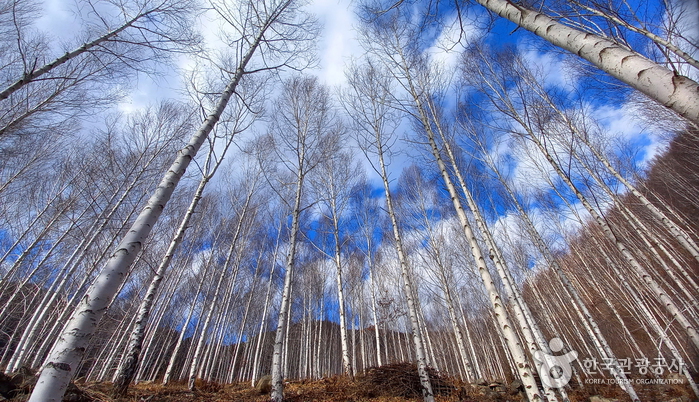 영양 가볼만한곳 베스트10