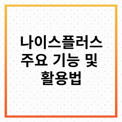 나이스 플러스