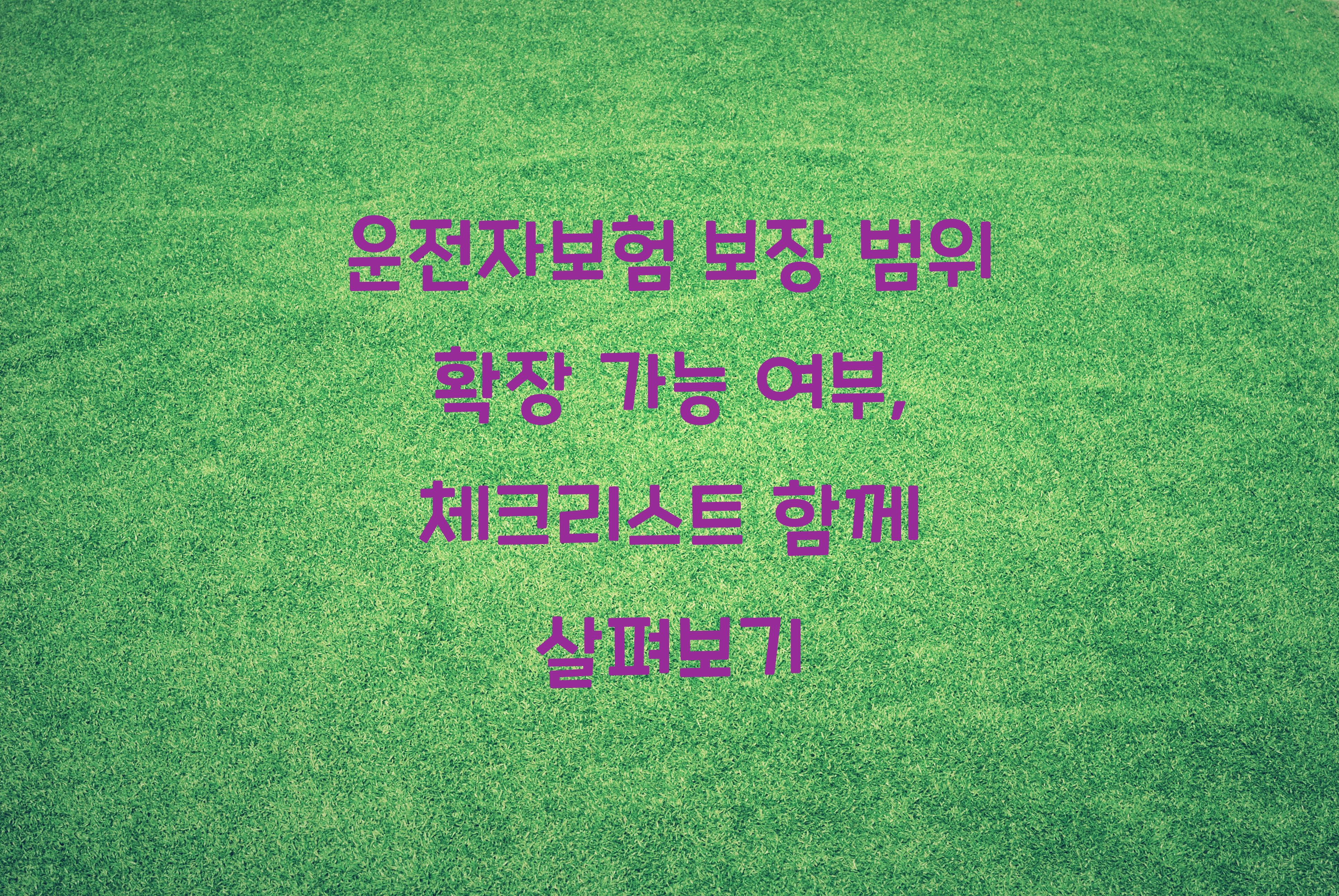 운전자보험 보장 범위 확장 가능 여부