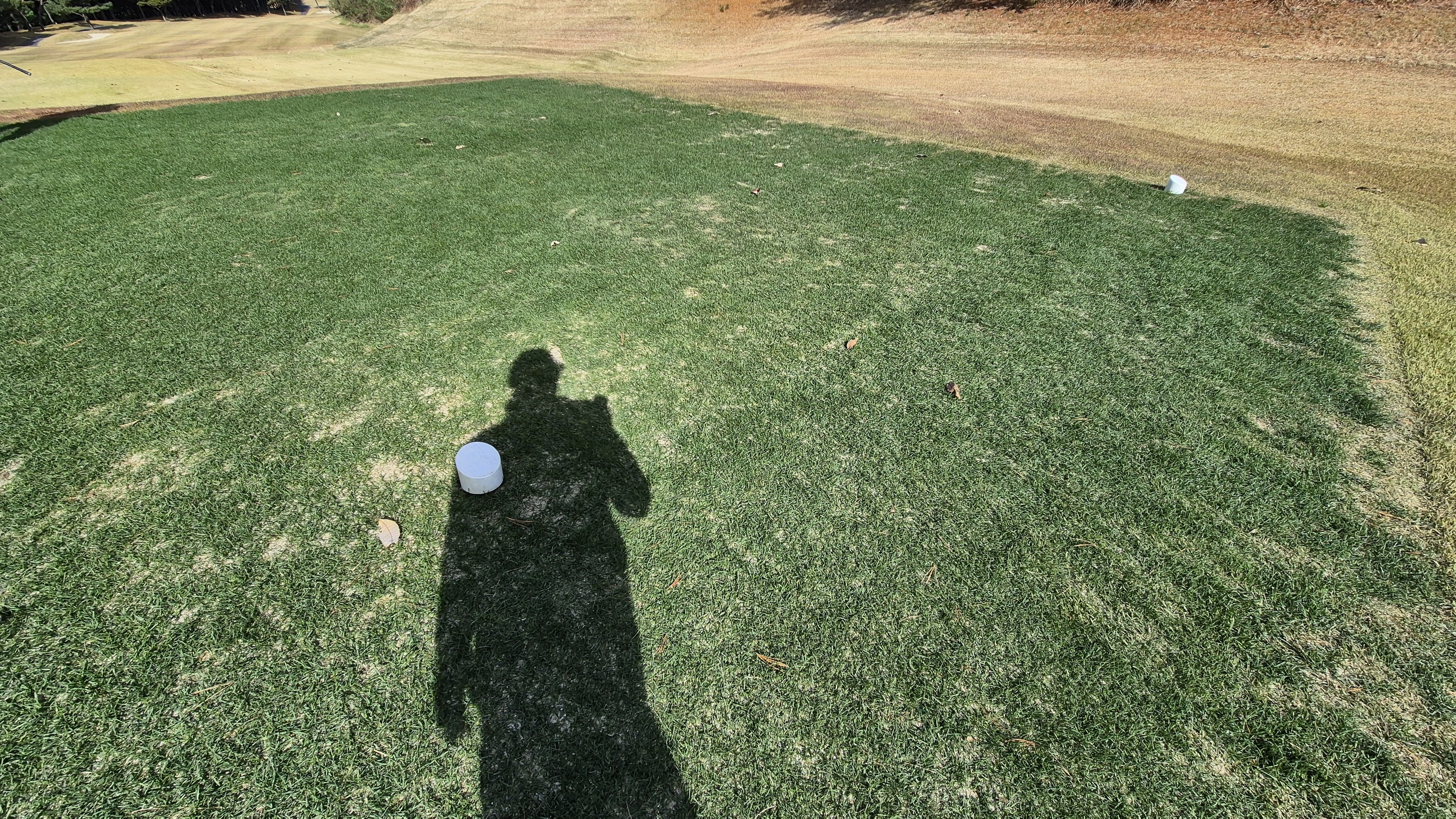 세종에머슨cc 밸리-마운틴 코스 티잉구역 상태