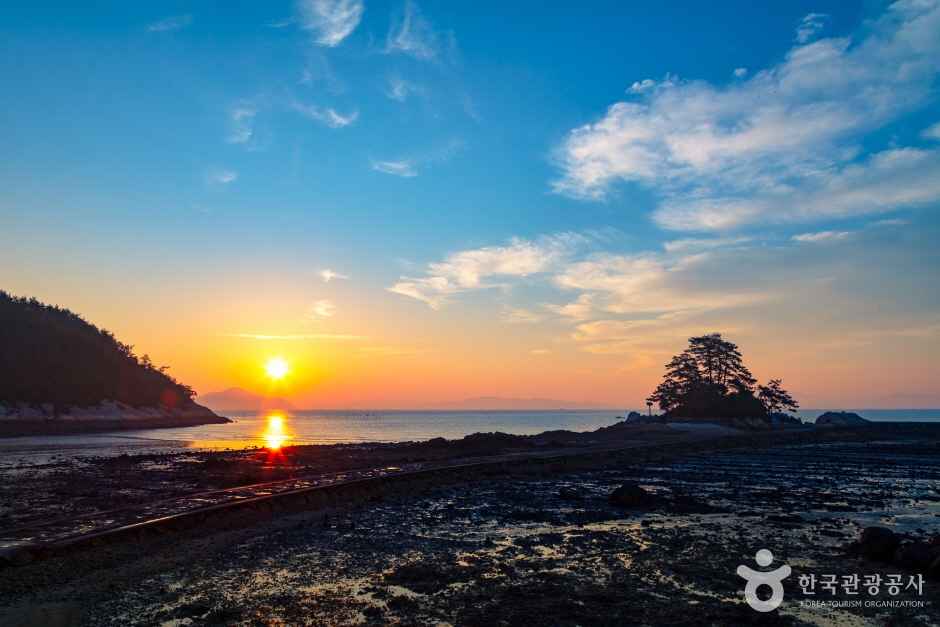 장흥 소등섬 일출 여행