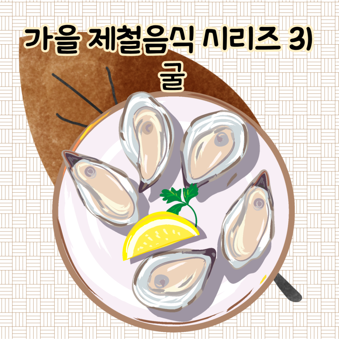 가을 제철음식 시리즈 3) 굴의 효능, 굴 세척, 굴 요리, 굴 노로바이러스 없이 먹는법