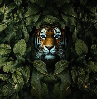 단군신화 – 한국 건국의 전설