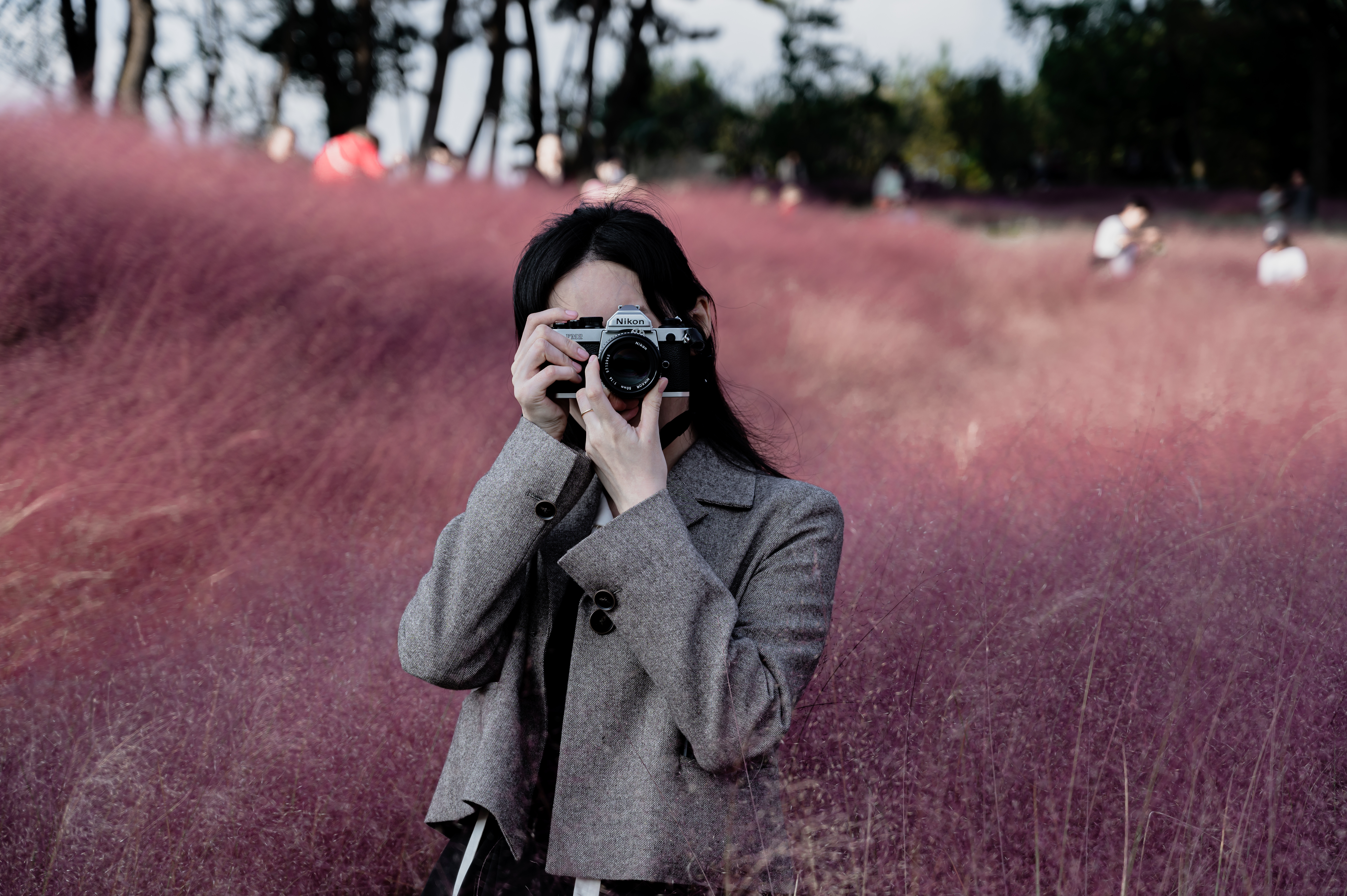 신흥 근린 공원 둘레길