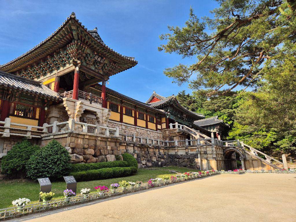 경주 가볼만한 곳 베스트 10 (2025 최신판)