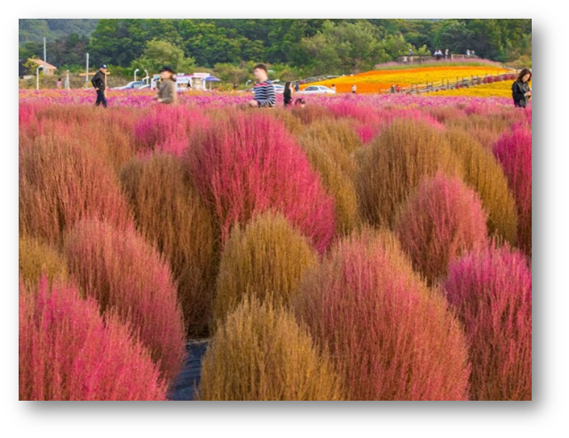 양주 나리공원2