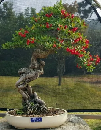 압해도 분재공원 근처 선착장에서의 낚시 농어와 도다리 포인트 소개 완벽 낚시터_4