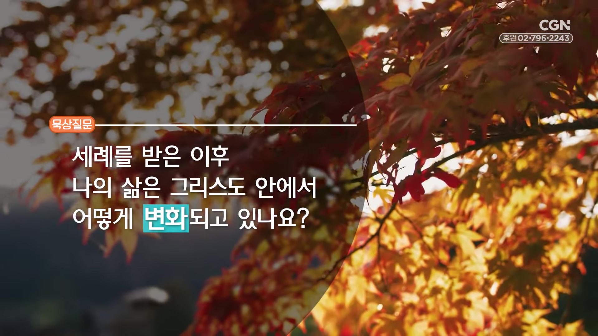 세례를 받은 이후 나의 삶은 그리스도 안에서 어떻게 변화되고 있나요?