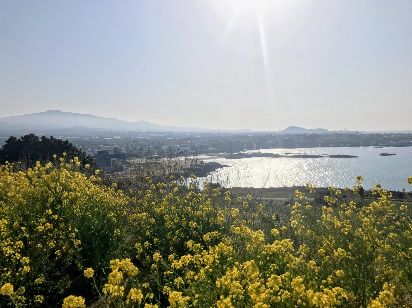 함덕해수욕장 서우봉 입구