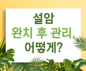 설암 완치, 그 이후가 더 중요하다! 재발 막고 건강하게 사는 법