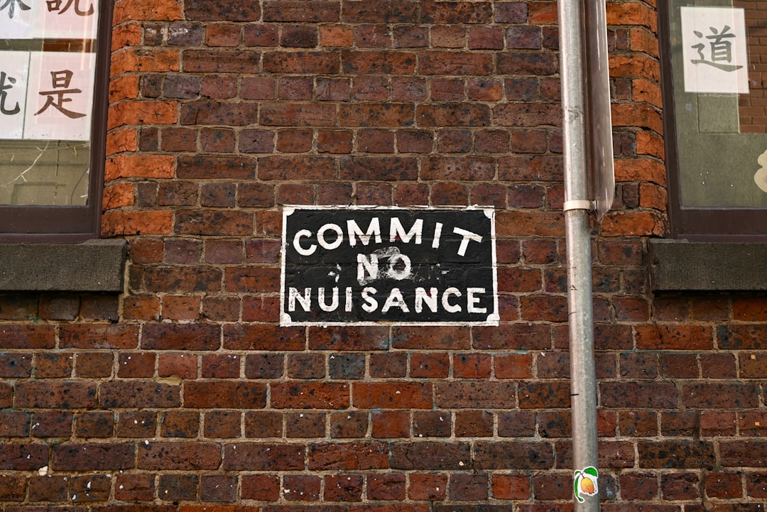 Issuance. The full phrase would naturally be issuance of the international driving permit.