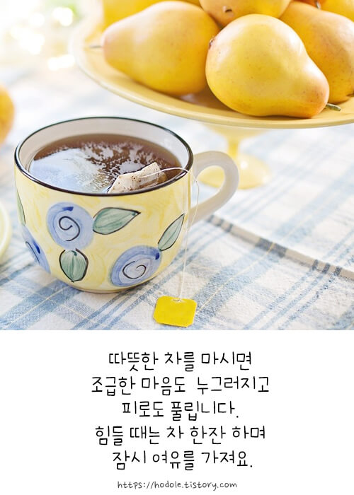 따뜻한차
