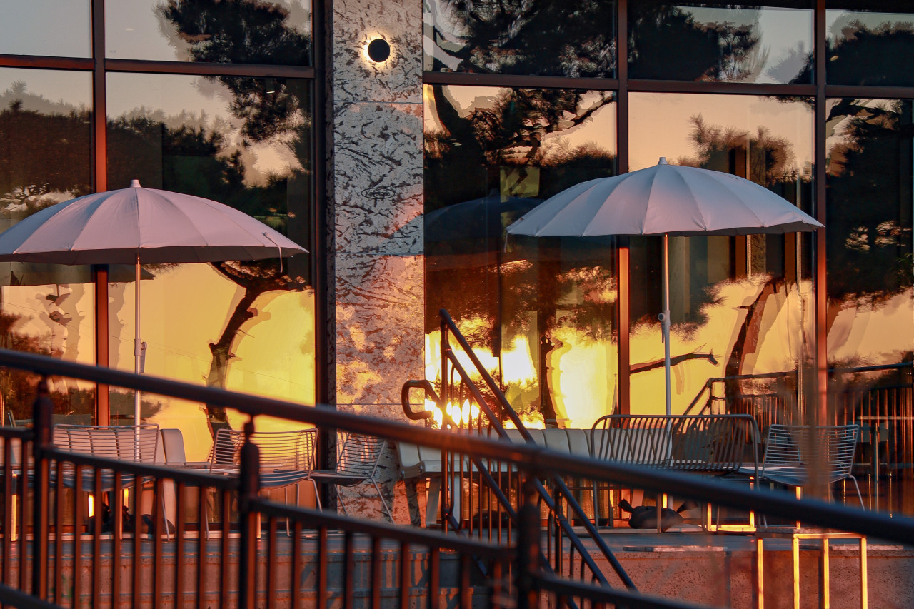 키스톤 스피시즈