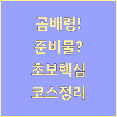 초보자도 가능한 곰배령 트레킹 준비물..