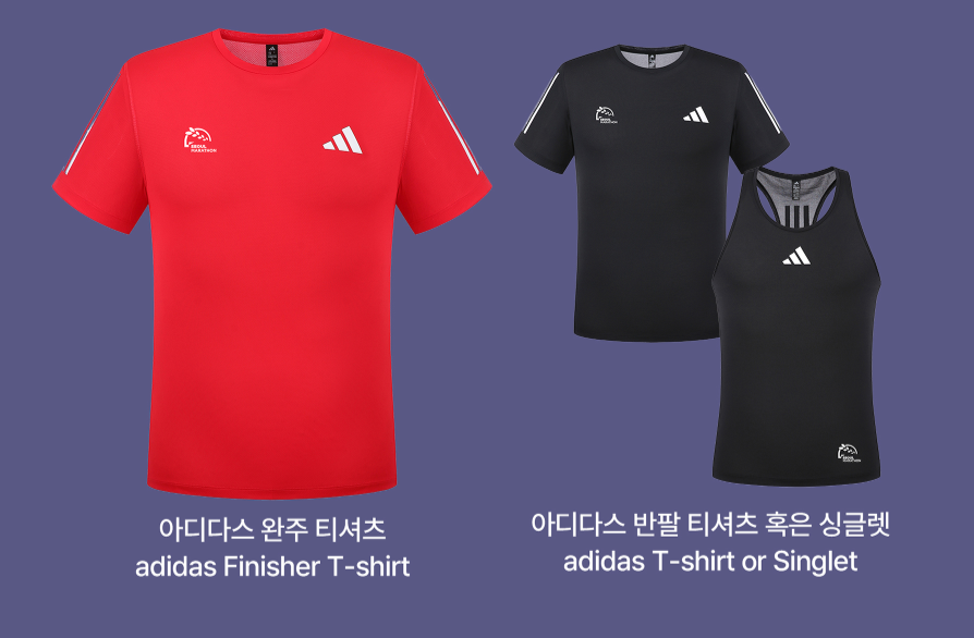 서울레이스 2025 신청