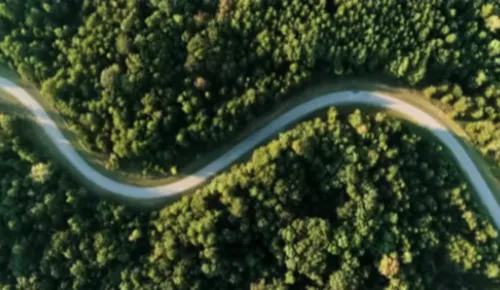 패들시프트-코너링