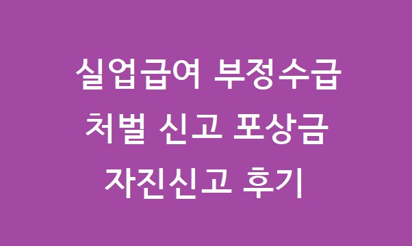 실업급여 부정수급 자진신고
