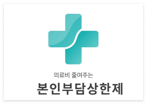 본인부담상한제