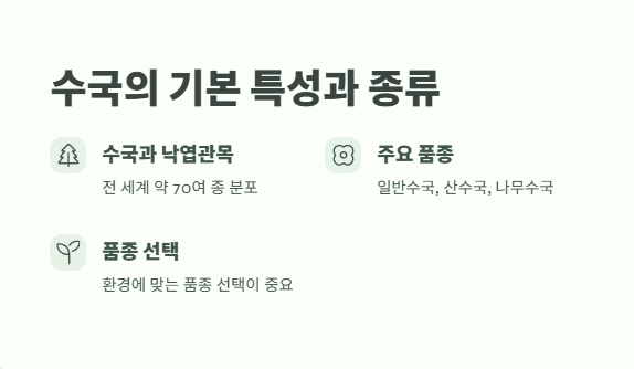 수국 키우는법 초보자도 쉽게 1