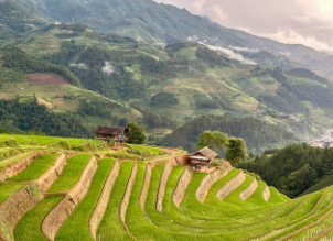 나주시 기본형 공익직불금 신청 조건