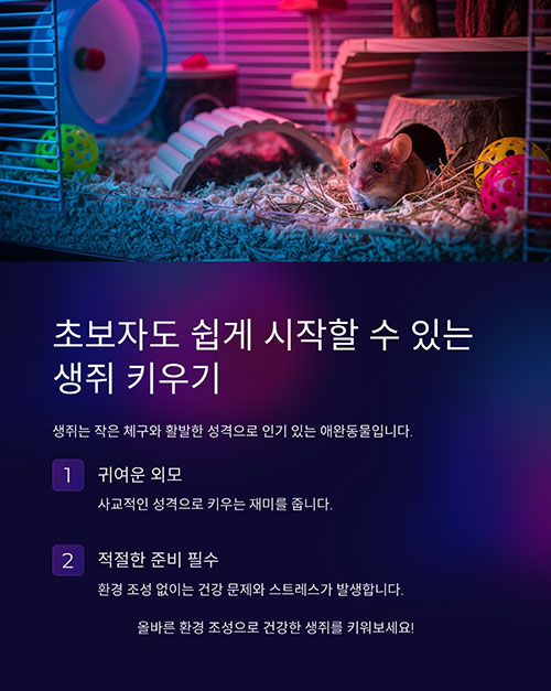 초보자도 쉽게 시작할 수 있는 생쥐 키우기