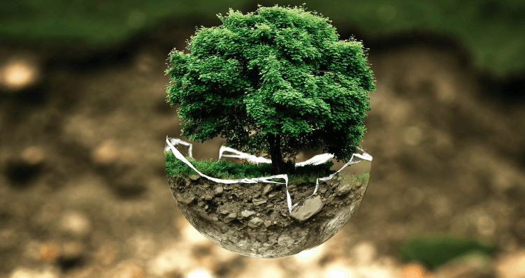 몬트리올 의정서 채택 오존층 협약