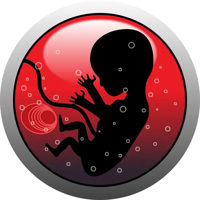 임신 사전건강관리 지원사업 신청방법