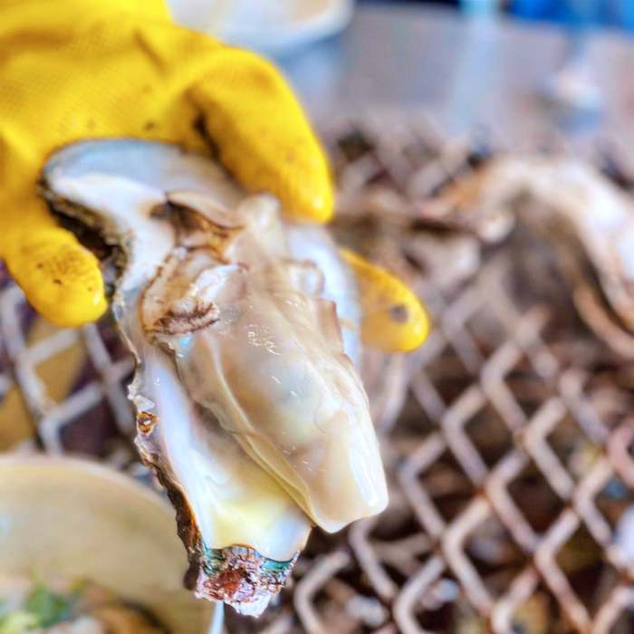 생방송오늘저녁 섬진강 하동 벚굴 구이 강굴 벚굴찜 벚굴전 벚굴죽 재첩국 재첩회무침 맛집 추천