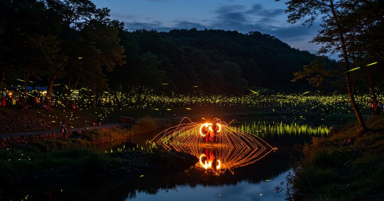 무주 반딧불축제 관련 이미지