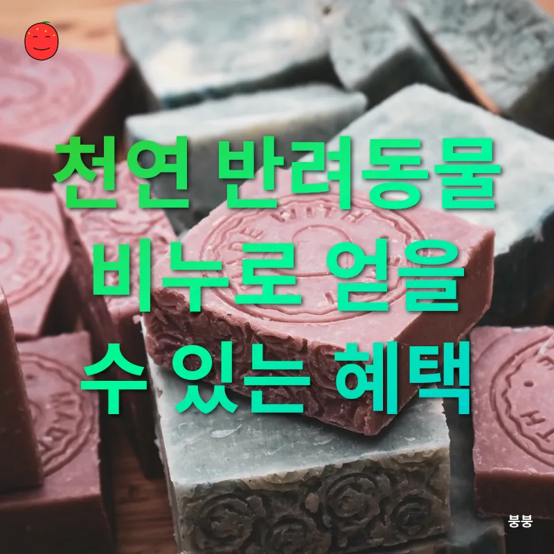 반려동물 천연비누 제작_2