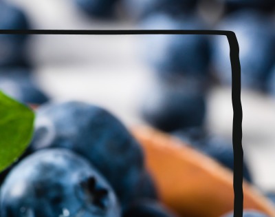 블루베리 효능 부작용