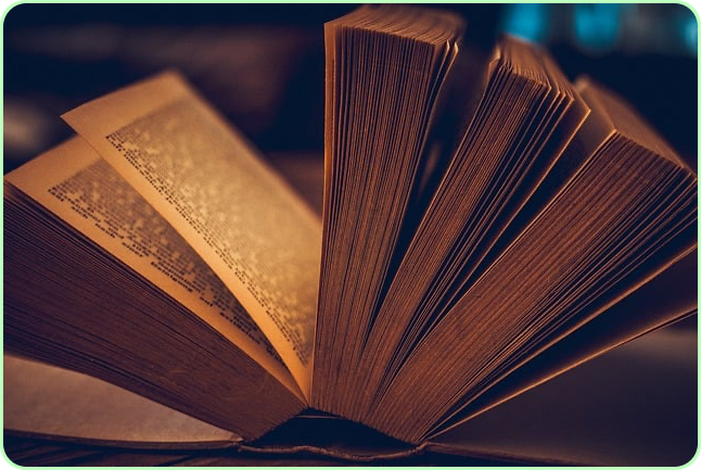 노벨문학상 한강 작품 수상작 ✅ 나이 아버지 채식주의자 고향 가족 ✅