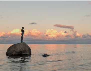 동거인 전입신고