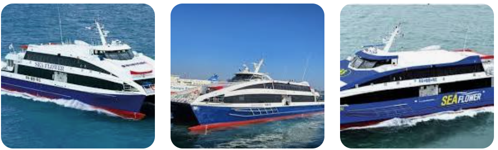 씨플라워호 (대아고속해운)