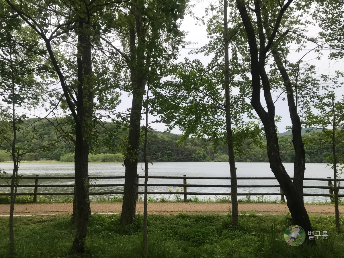 두물머리-물래길-숲속벤치-풍경-1