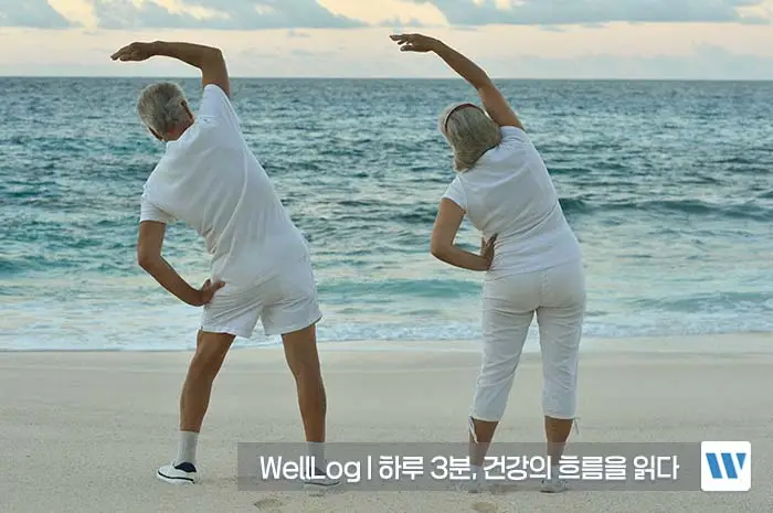 콘드로이친 효능, 복용법, 주의사항