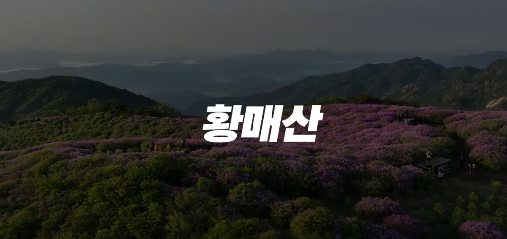 5월에 꼭 가봐야 할 적국 봄꽃 명소