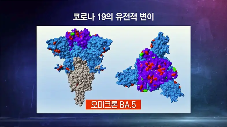 KBS 생로병사의 비밀 826회 재유행 오미크론 코로나 연대기 1부 삶과 죽음을 가르는 순간 모든 것