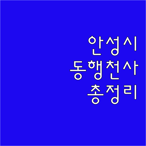 2025 안성시 동행천사 서비스 이용..