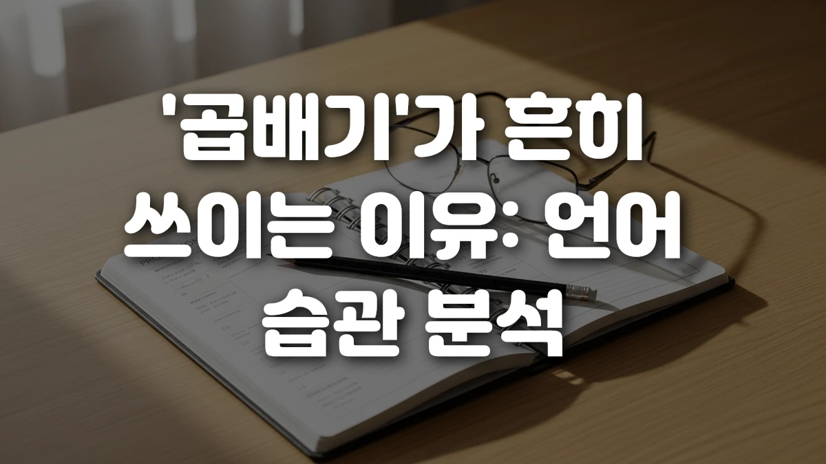 곱배기 가 흔히 쓰이는 이유 언어 습관 분석