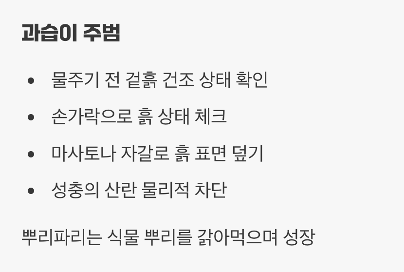 4. 화분 속의 작은 불청객, '뿌리파리'